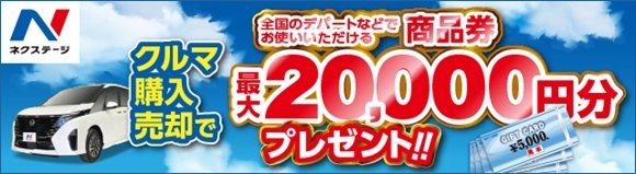 �ͥ����ơ���